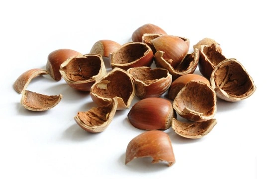 Fındık Kabuğu